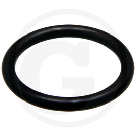 Amazone O-ring
