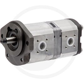 Bosch/Rexroth Double pump