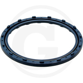 Carraro Sealing ring