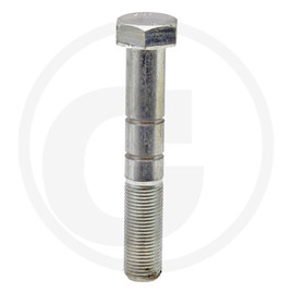 Rabe Shear bolt