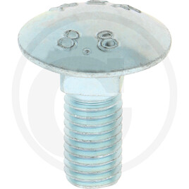 GRANIT Carriage bolt DIN 603 made of stainless steel